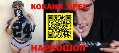 спайс Кингисепп