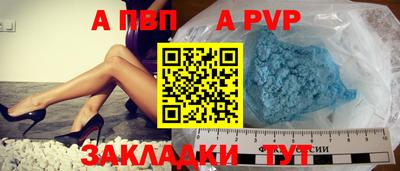 спайс Кингисепп