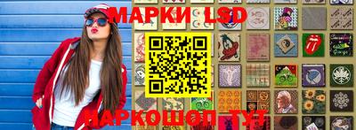 спайс Кингисепп