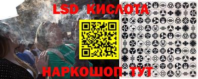 спайс Кингисепп