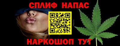 спиды Кинель