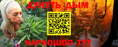 спиды Кинель