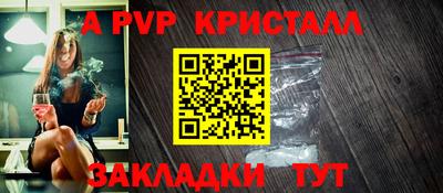 спайс Кингисепп