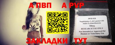 спайс Кингисепп