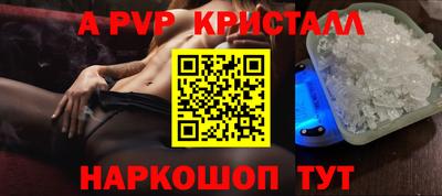 спайс Кингисепп
